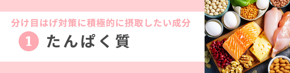 1　たんぱく質