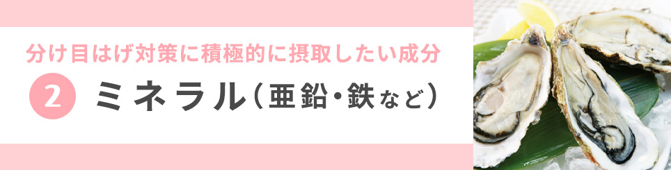2　亜鉛や鉄分などのミネラル