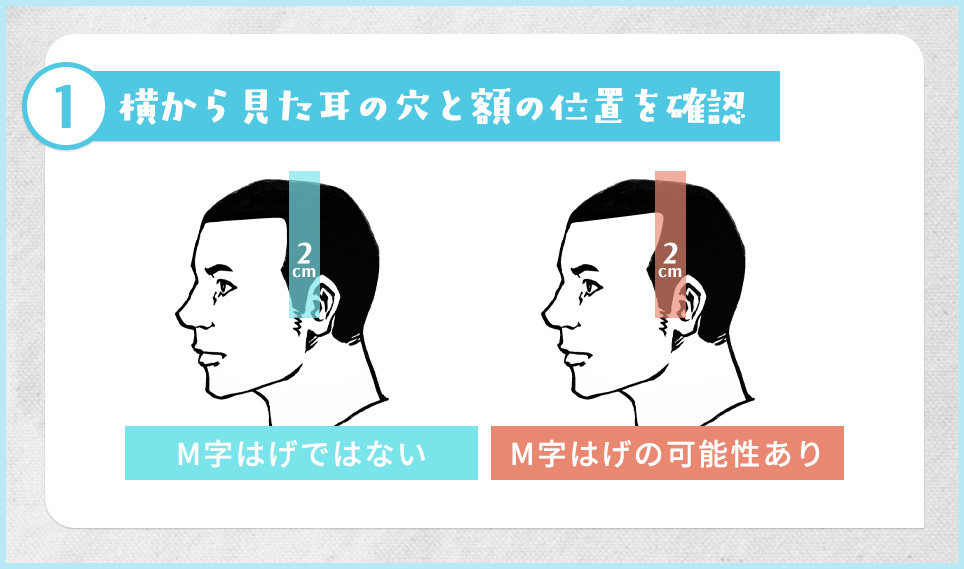 ①横から見た耳の穴と額の位置を確認