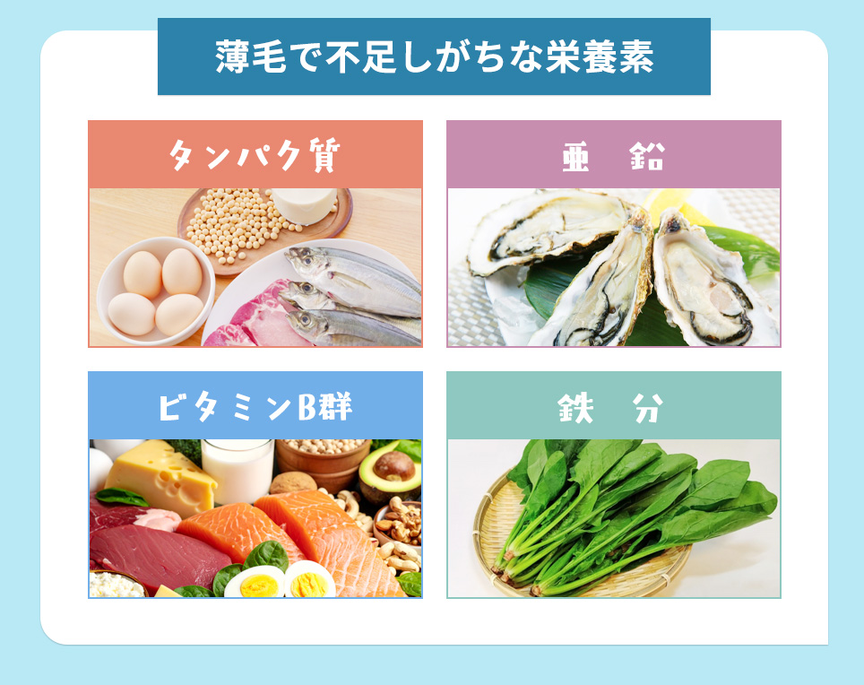 薄毛で不足しがちな4つ栄養素まとめ