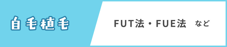 自毛植毛(FUT法・FUE法など)