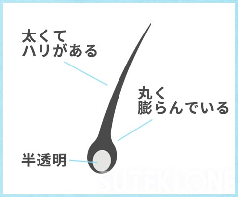 正常な抜け毛の図説