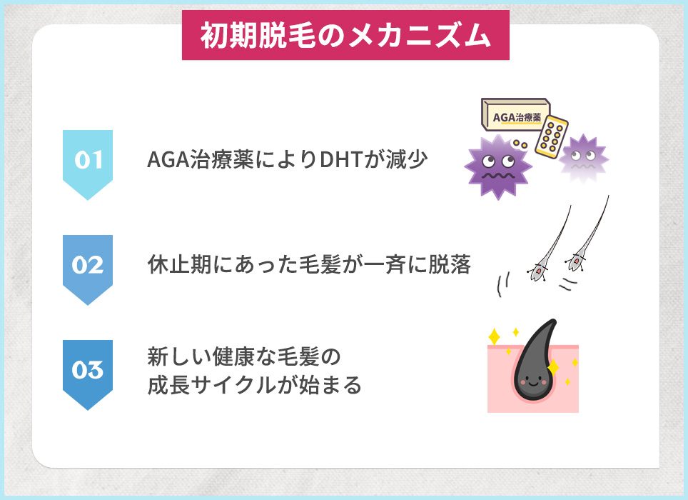 初期脱毛のメカニズム