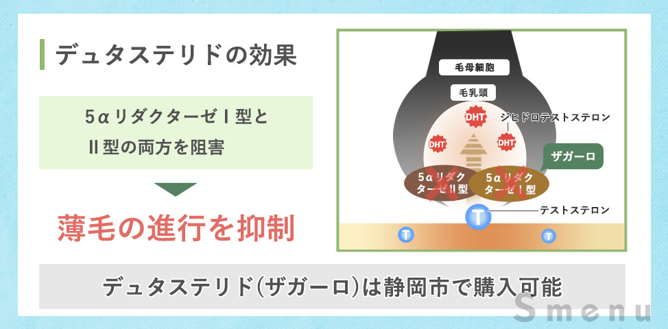 デュタステリド(ザガーロ)の効果