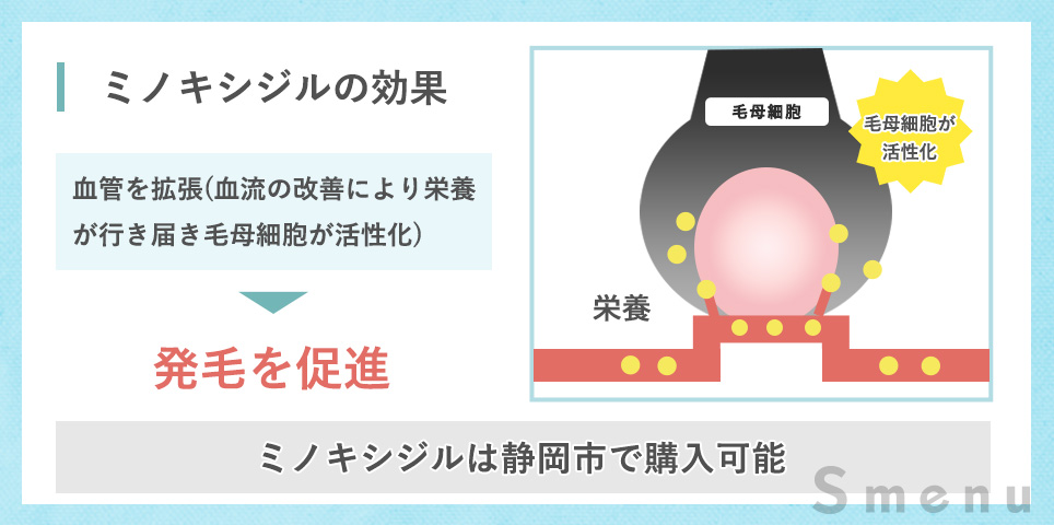 ミノキシジル(内服・外用薬)の効果