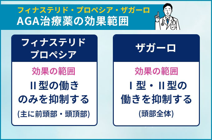 AGA治療薬の効果範囲の一覧表